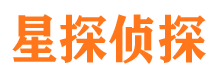 阆中市调查公司